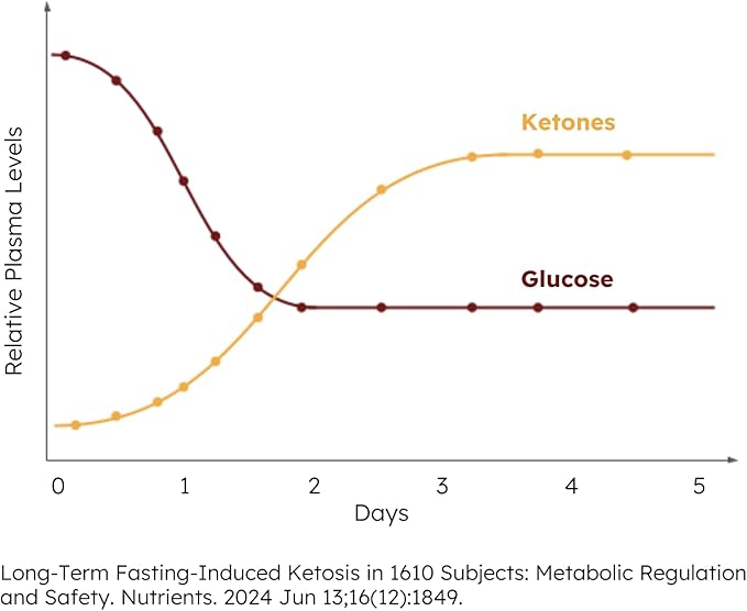 Chocolate Electrolytes Fasting Supplement – Crave Killer, Hydration & Energy – Zero-Sugar, Plus Ketones & Organic Cocoa.