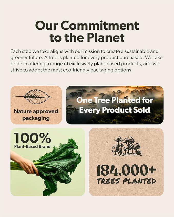 Plant Meal Replacement Shake - Chocolate - 25g of Plant Based Vegan Protein Powder, 76+ Organic Superfoods, Vitamins & Minerals, Mushrooms, Super Greens, Digestive Enzymes & Probiotics - 1 Serving