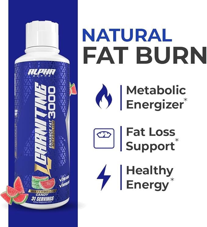 L Carnitine Liquid 3000 | Stimulant-Free L-Carnitine Supplement for Men & Women | Pre-Workout Energy Boost & Muscle Recovery | Zero Sugar, Fat, & Carbs | 31 Servings (Watermelon Candy)