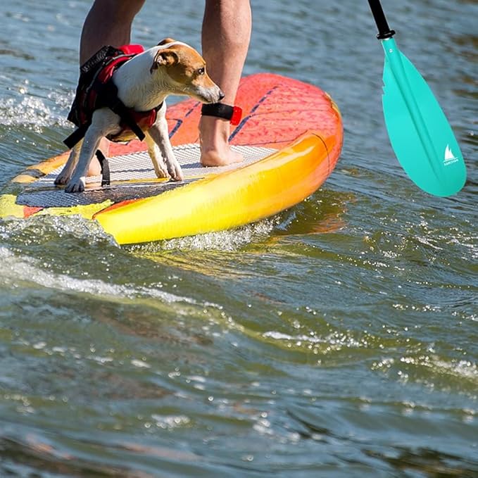 Kayak Paddle - Adjustable 2 Pieces Aluminum Alloy Shaft with Glass Fiber Blade for Surfing,Oar Fishing Easy Packable Travel