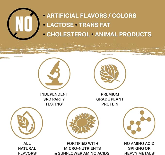 Ambrosia Planta - Premium Organic Plant-Based Protein | Vegan & Keto Friendly | Gourmet Flavors with No Bloating or Stomach Upset | Gluten & Soy Free | No Added Sugar | 25 Servings | Campfire Smores