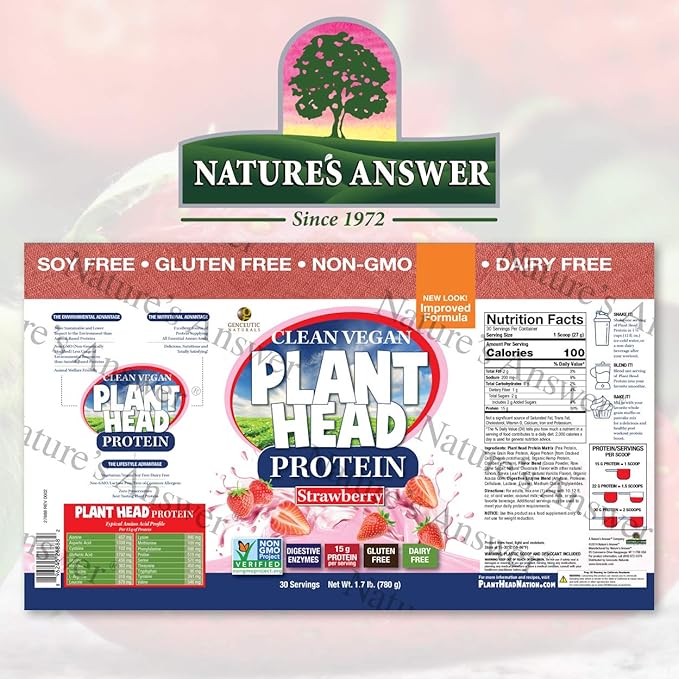 Plant Head Protein Naturally Flavored Best Tasting Strawberry Raw Vegan Vegetarian Protein Dietary Supplement Gluten Soy Dairy GMO Free – 30 Servings (1.8 Pounds)