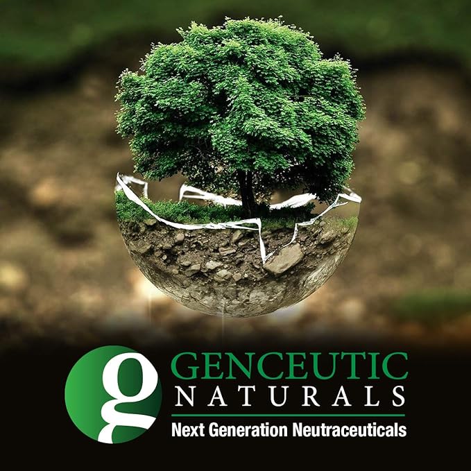 Plant Head Protein Naturally Flavored Best Tasting Strawberry Raw Vegan Vegetarian Protein Dietary Supplement Gluten Soy Dairy GMO Free – 30 Servings (1.8 Pounds)