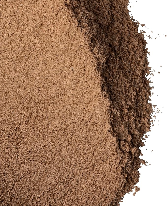 Amy Myers MD Paleo Protein Powder - Double Chocolate, 20 Servings - Collagen-Based Gut Function Support - Gluten-Free & Non-Dairy Protein Supplement