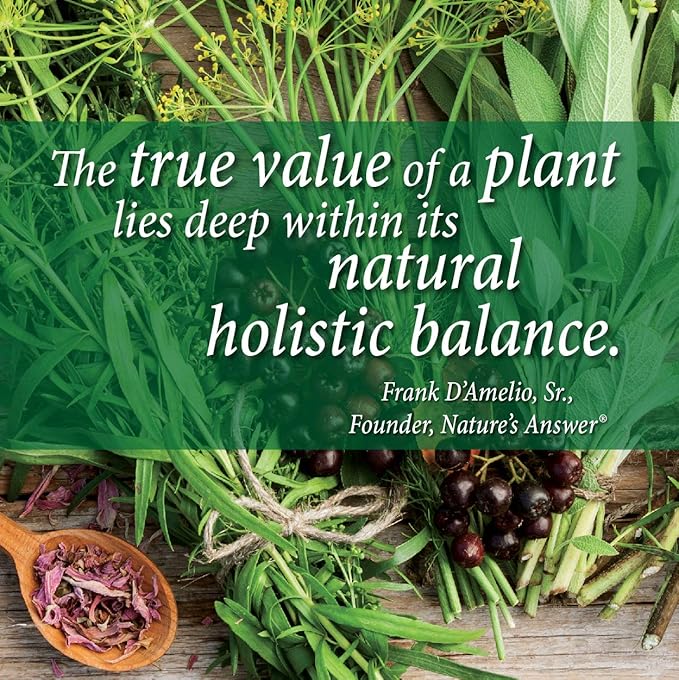 Plant Head Protein Naturally Flavored Best Tasting Strawberry Raw Vegan Vegetarian Protein Dietary Supplement Gluten Soy Dairy GMO Free – 30 Servings (1.8 Pounds)