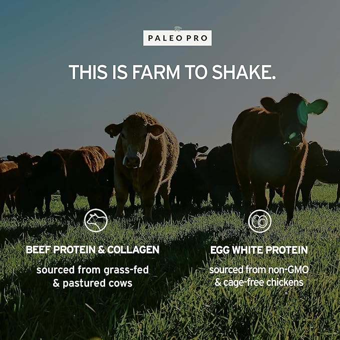 PaleoPro Protein Powder, Gluten, Dairy, Whey, and Soy Free - No Added Hormones, Pastured Grass-fed Beef, Minimally Processed Paleo Ingredients, 1lb/454g, About 15 Servings, Mayan Mocha