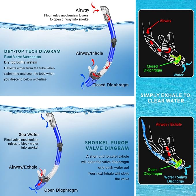 ZEEPORTE Mask Fin Snorkel Set, Travel Size Snorkeling Gear for Adults with Panoramic View Anti-Fog Mask, Trek Fins, Dry Top Snorkel and Gear Bag for Swimming Training, Snorkeling Kit Diving Packages