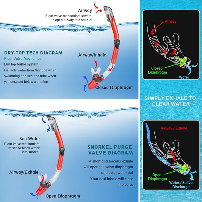 ZEEPORTE Mask Fin Snorkel Set, Travel Size Snorkeling Gear for Adults with Panoramic View Anti-Fog Mask, Trek Fins, Dry Top Snorkel and Gear Bag for Swimming Training, Snorkeling Kit Diving Packages