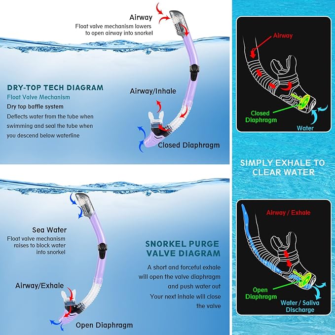 ZEEPORTE Mask Fin Snorkel Set, Travel Size Snorkeling Gear for Adults with Panoramic View Anti-Fog Mask, Trek Fins, Dry Top Snorkel and Gear Bag for Swimming Training, Snorkeling Kit Diving Packages