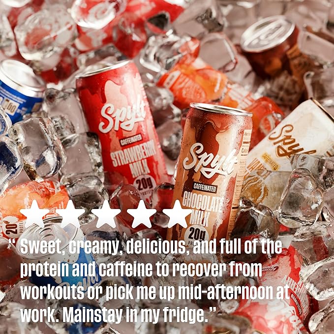 High Protein Milk - 6 Flavor Variety Pack with 60mg Caffeine & 20g Protein - 90 Calories, Ready to Drink, Sugar Free, Lactose Free Milk, Perfect for Workout Recovery & Afternoon Pick Me Up - 12 Count